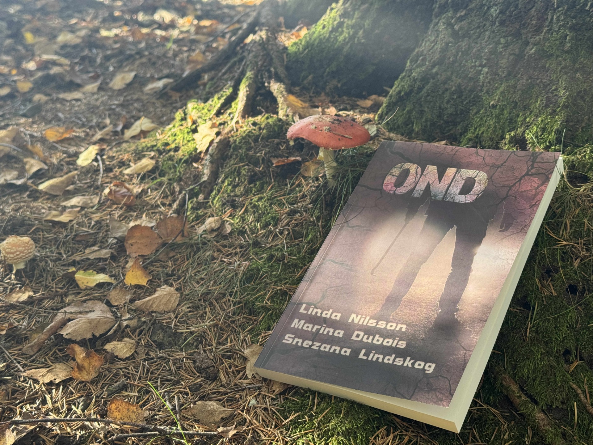 Foto: Mikael Vahlgren